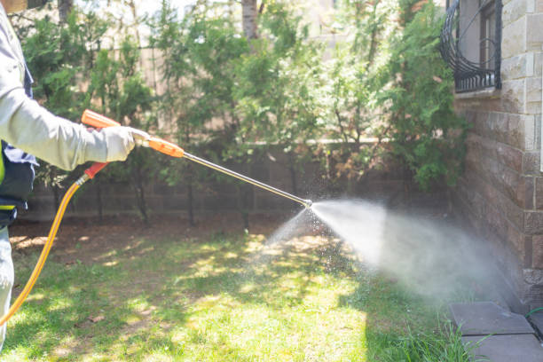 Best Termite Control Services  in Antlers, OK