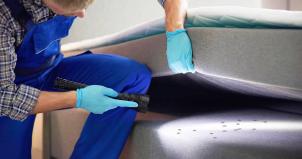 Pest Control for Restaurants in Antlers, OK