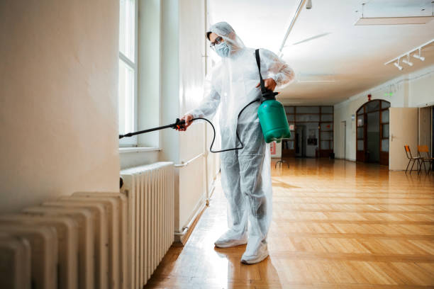 Best Exterminator Services  in Antlers, OK
