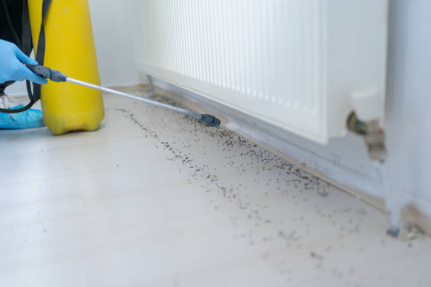 Best Pest Control for Restaurants  in Antlers, OK