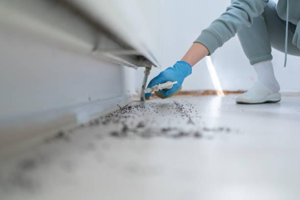 Best Wildlife Control Services  in Antlers, OK